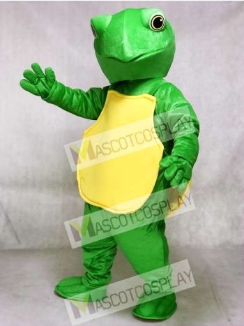 Green Turtle Mascot Costume