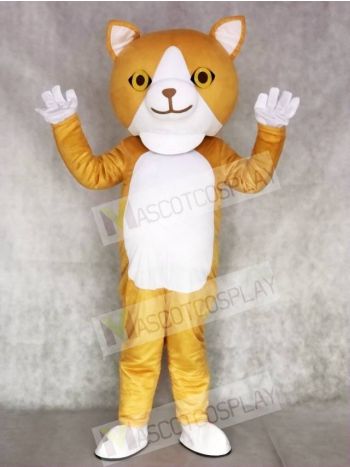 Happy Cat Mascot Adult Costumes Animal