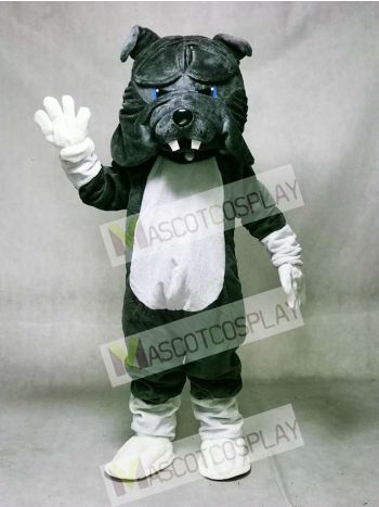 Gray Bulldog Dog with White Belly Mascot Costume Animal