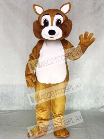 Adult Squirrel Mascot Costume with White Belly