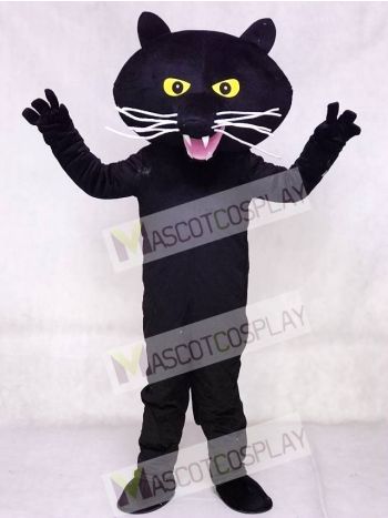 Black Panther Mascot Costume