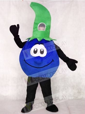 High Quality Bobby Blueberry Blue Berry Mascot Costume