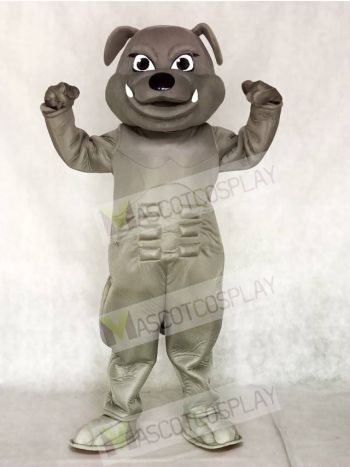Grey Bulldog Mascot Costumes Animal 