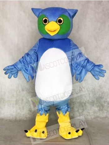 Cute Blue and Green Owl Mascot Costumes Animal