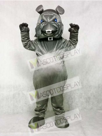 Grey Bully Bulldog Dog Mascot Costume