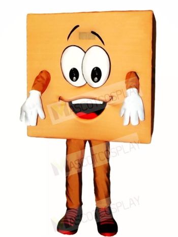 Brown Box Mascot Costumes 