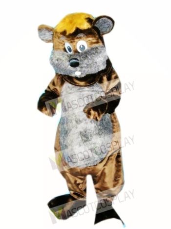 Chipmunk Mascot Costume Animal 