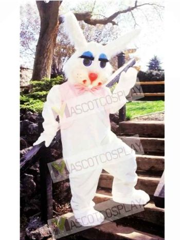 Peter Rabbit Bunny Mascot Costume