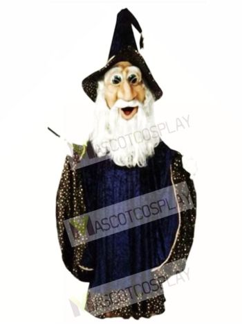 Wizard Mascot Costume