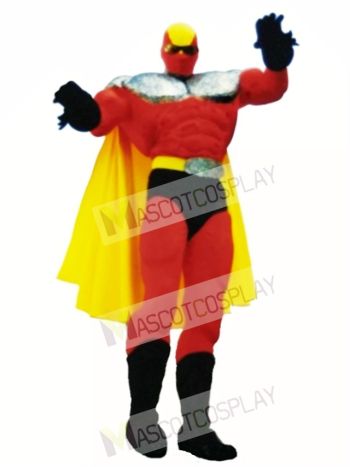 Superhero Mascot Costume