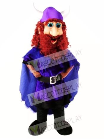 Friendly Viking Mascot Costume