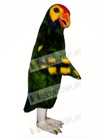 Cute Parrot Mascot Costume