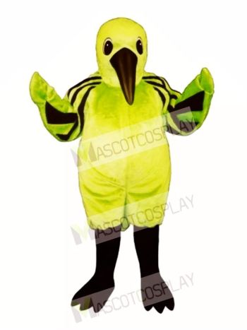 Cute Hummingbird Mascot Costume
