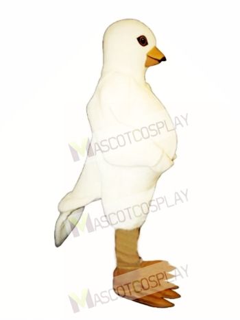 Cute Pigeon Mascot Costume