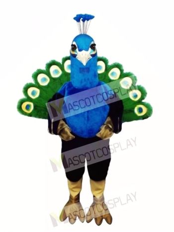 Cute Peacock Mascot Costume