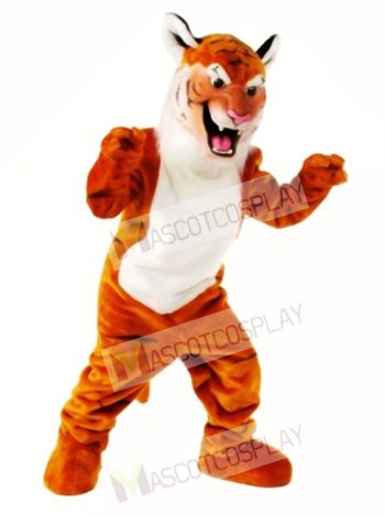Cute Tiger Mascot Costume