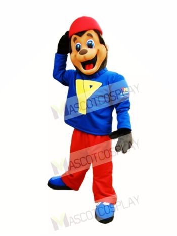 Brown Bear Mascot Costumes