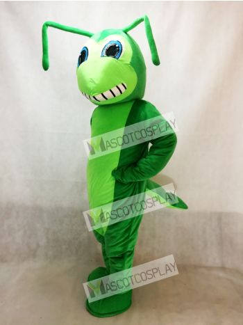 Grasshopper Mascot Costume Insect