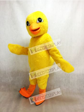Yellow Chick Mascot Costume