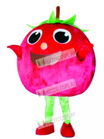 Red Tomato Mascot Costume