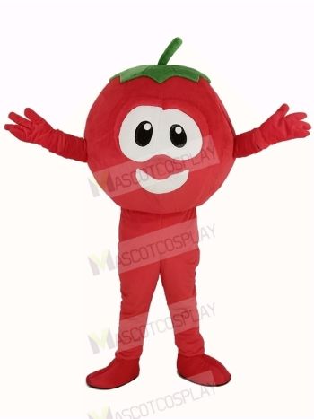 VeggieTales Character Tomato Bob Mascot Costume Cartoon