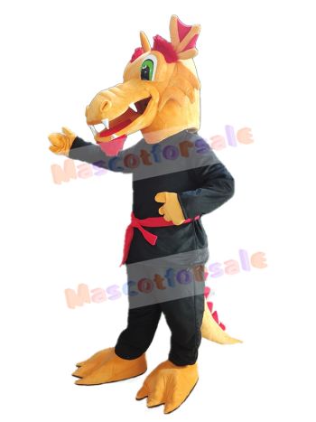 Dragon mascot costume