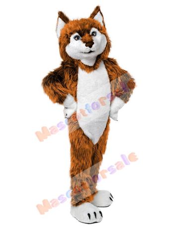Wolf mascot costume