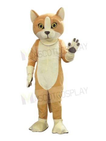 Happy Cat Mascot Costumes
