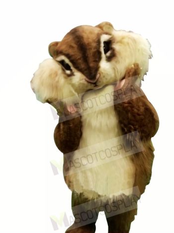 Best Quality Squirrel Mascot Costumes 