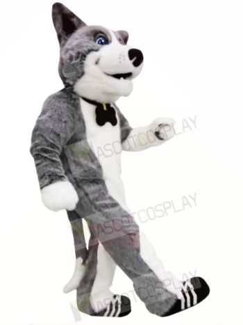 Cute Grey Dog Mascot Costumes