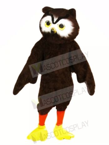 Süß Braun Eule Maskottchen Kostüme