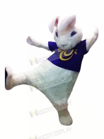 High Quality White Rabbit Mascot Costumes