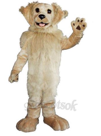 Pawsitive1 Custom Hockey Mascots 