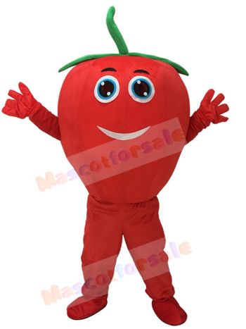 Cute Red Tomato with Smile Mascot Costume