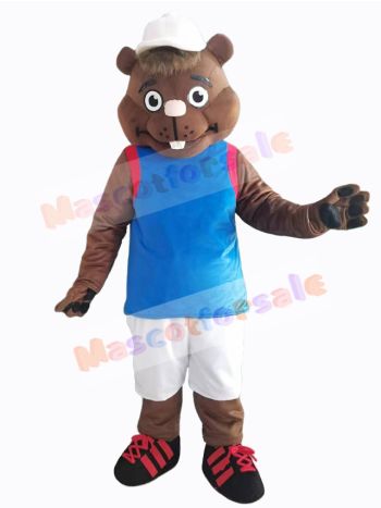Groundhog mascot costume