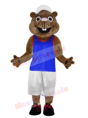 Gopher mascot costume