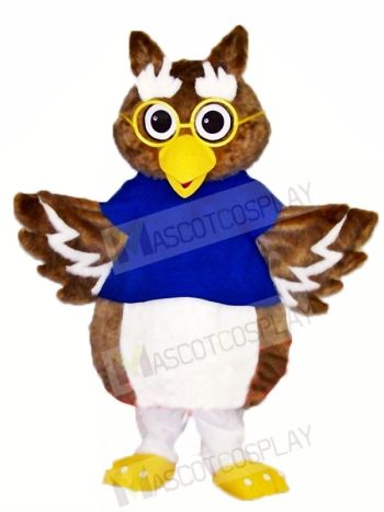 Cute Owl Mascot Costumes