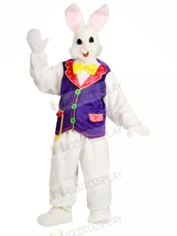 Rabbit with Purple Vest Mascot Costumes Bunny Animal