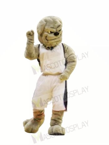 College Bulldog Mascot Costumes