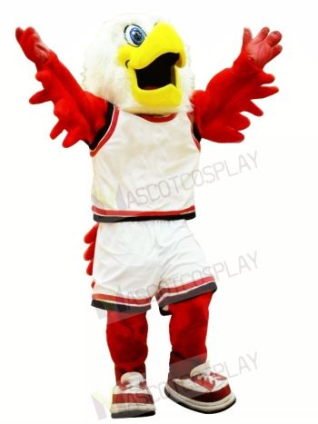 College Hawk Mascot Costumes
