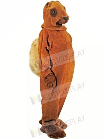 A Medium-brown Squirrel Mascot Costumes 