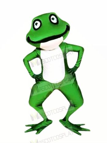 Realistic Green Frog Mascot Costumes Cartoon	