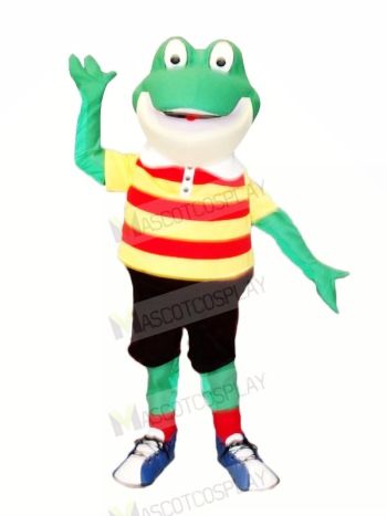 Smiling Frog Mascot Costumes Cartoon