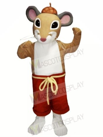 Cute Lightweight Mouse Mascot Costumes