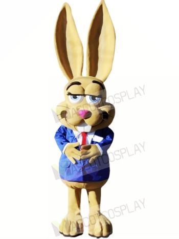 Cute Jackrabbit Mascot Costumes