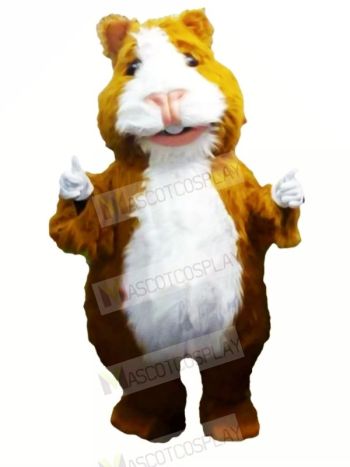 Cute Hamster Mascot Costumes Cartoon	