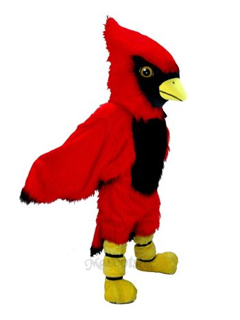 Cardinal Mascot Costume