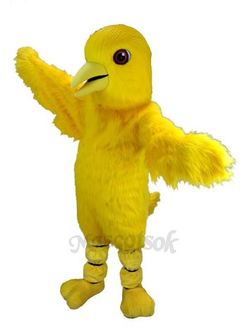 Canary Golden Bird Mascot Costume