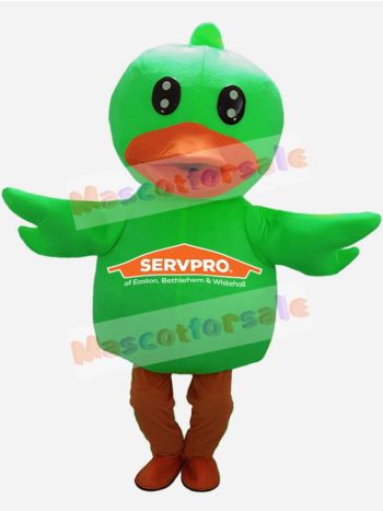 Duck mascot costume