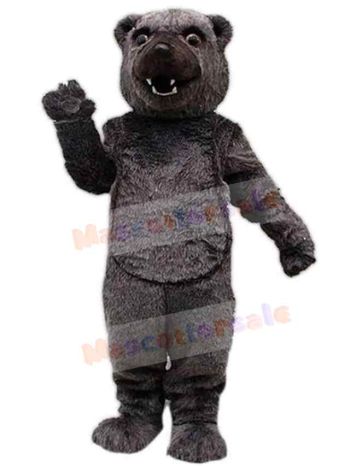 Bear mascot costume